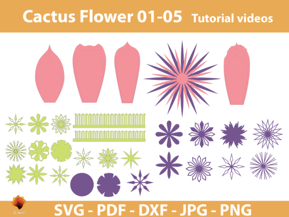 05 Cactus Paper Flowers: A Comprehensive Review of the Template Package